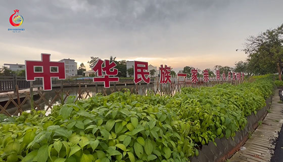 貴港：民族團結進步創建專題采訪報道活動