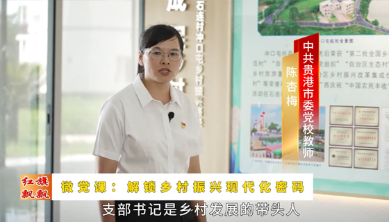 紅旗飄飄546期-微黨課：解鎖鄉(xiāng)村振興現(xiàn)代化密碼