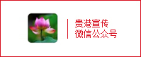 貴港宣傳公眾號(hào)