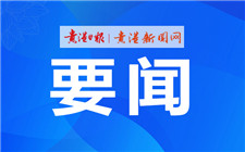 中國工程院院士王雙飛帶隊到我市調研