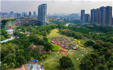 貴港：消費潛力釋放 市場穩定向好