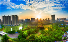 市紀委監委召開理論學習中心組集體學習會