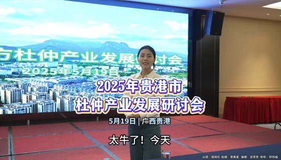 2025年貴港市杜仲產業發展研討會在貴港隆重舉行