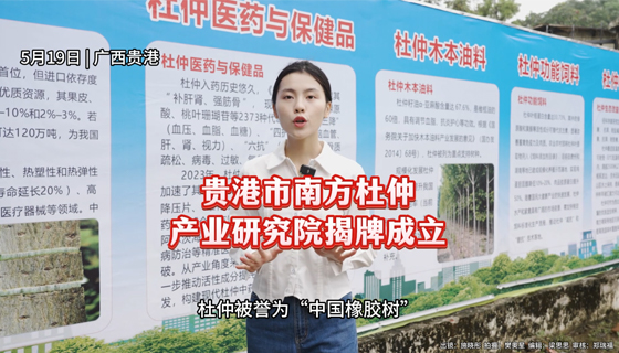 貴港市南方杜仲產業研究院揭牌成立