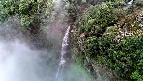 不用去廬山！貴港也有《望廬山瀑布》